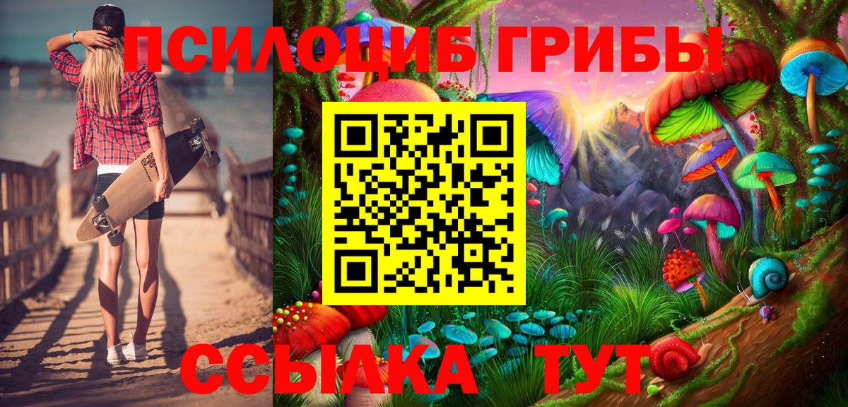 Псилоцибиновые грибы мухоморы  где купить наркотик  Лесозаводск  Вход с VPN 