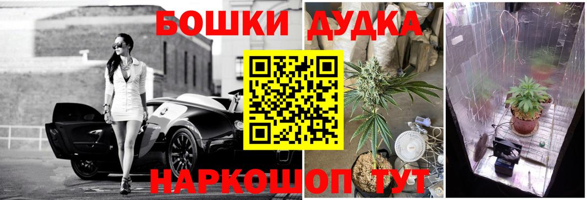 Марихуана сатива  Марихуана гибрид  Вход с VPN  Каннабис White Widow  МАРИХУАНА семена  Лесозаводск 